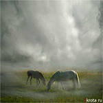 Схема вышивки «туман»