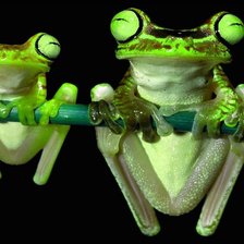 Схема вышивки «лягушки на ветке»