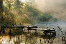 Схема вышивки «утро»