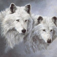 Схема вышивки «Волки»