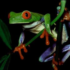 Схема вышивки «Лягушонок»