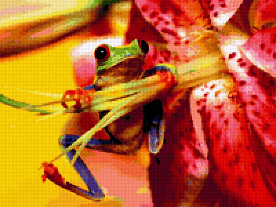 лягушка на цветке - лягушки, животные - предпросмотр