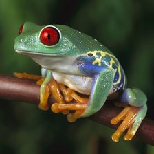 Схема вышивки «лягушкa»