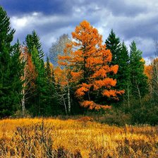 Схема вышивки «Осень»