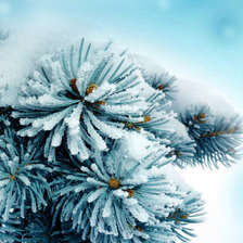 Схема вышивки «Серия "Сосны"»