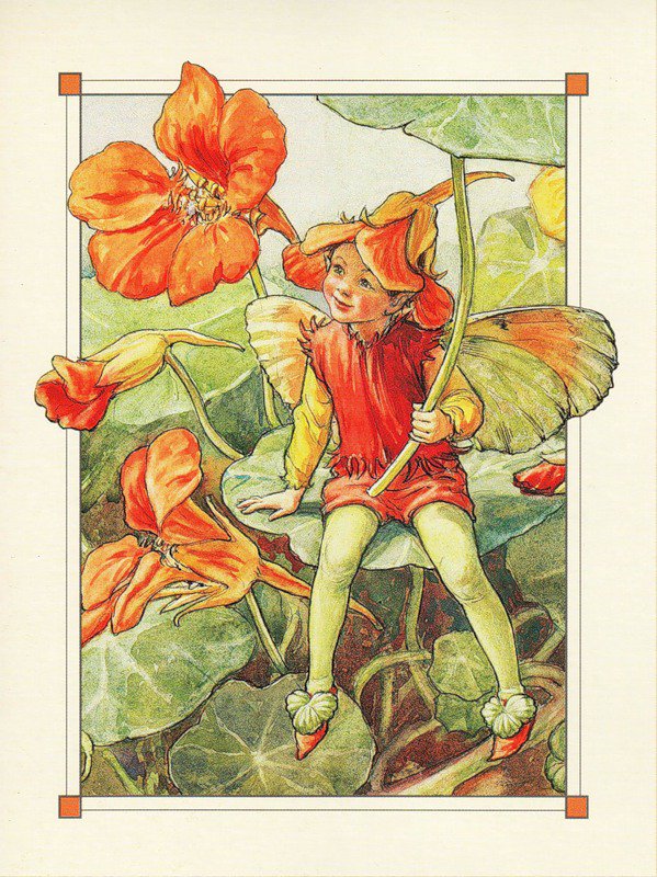 цветочные феи 5 - цветочные феи - оригинал