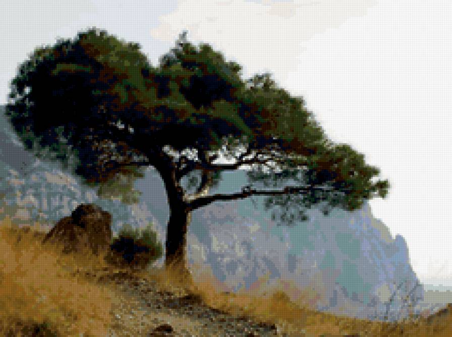 Серия "Сосны" - горы, пейзаж, сосны - предпросмотр