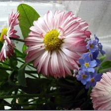 Схема вышивки «№318353»