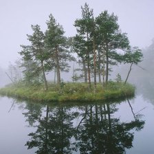 Схема вышивки «Серия "Сосны"»