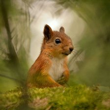 Схема вышивки «,tkjxrf»