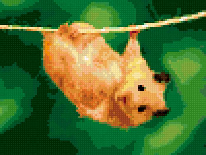 хома - предпросмотр