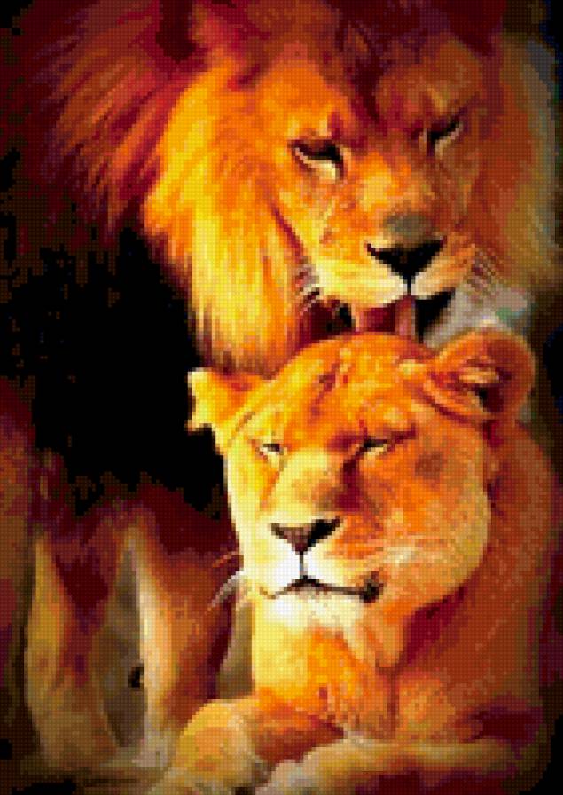 львы - львы - предпросмотр