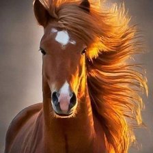 Схема вышивки «лошадь»