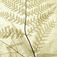 Схема вышивки «Modern Dec - Tryprtich - Center»