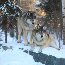 Схема вышивки «№318513»