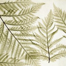 Схема вышивки «Modern Dec - Tryprtich - Left»