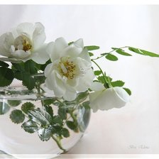 Схема вышивки «цветы»