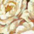 Предпросмотр схемы вышивки «Розы» (№318686)