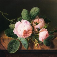 Схема вышивки «Розы»