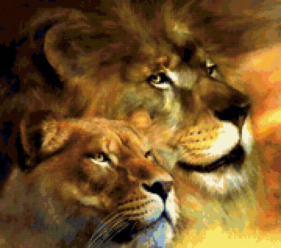 прайд - предпросмотр