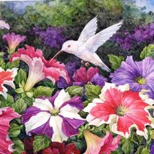 Схема вышивки «Колибри и петуния»