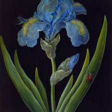 Схема вышивки «№318759»