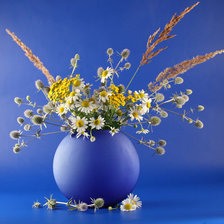 Схема вышивки «красота»