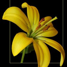 Схема вышивки «№318788»