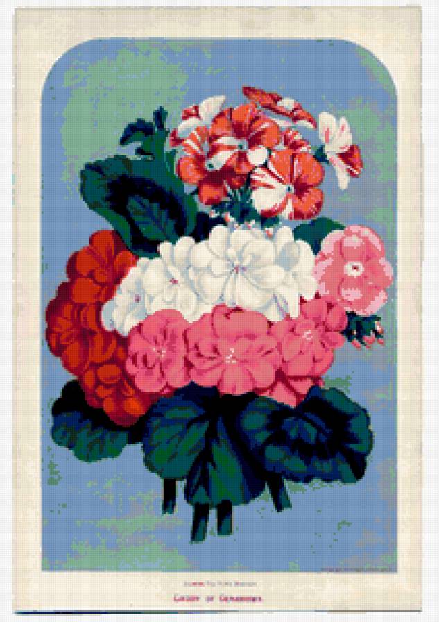 №318789 - букет, цветы - предпросмотр