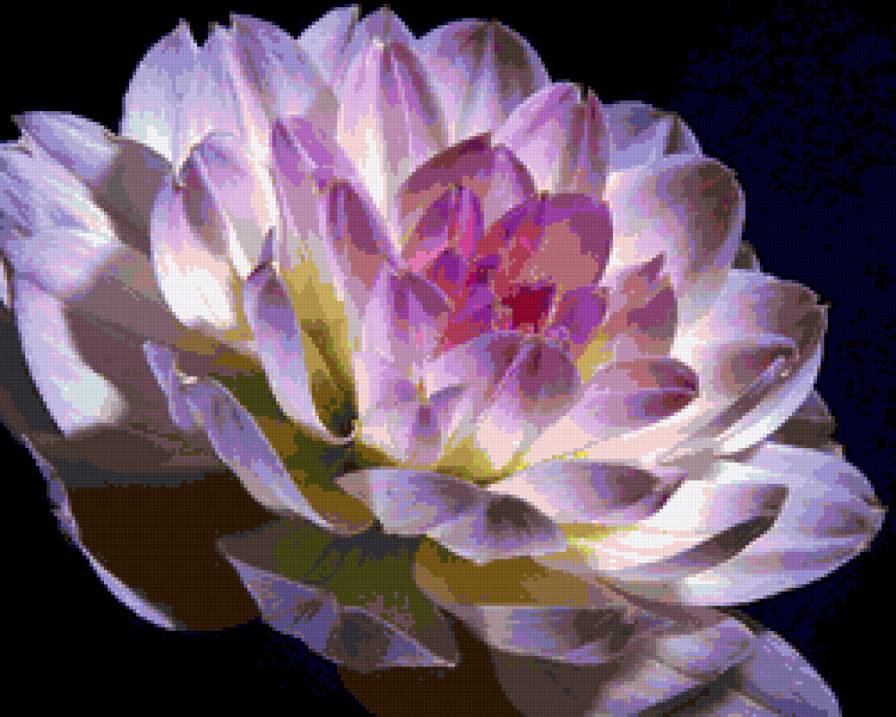 №318796 - цветок, цветы - предпросмотр