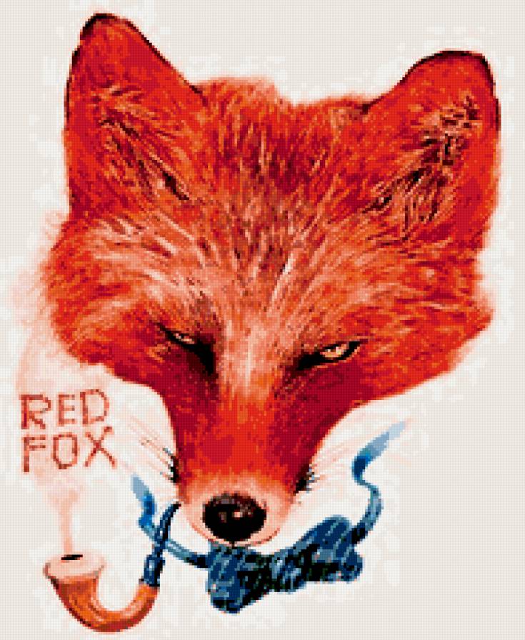 лиса - животные, лисица - предпросмотр