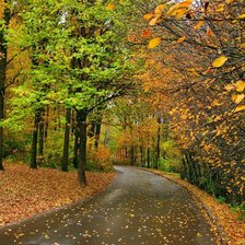 Схема вышивки «дорога в осень»