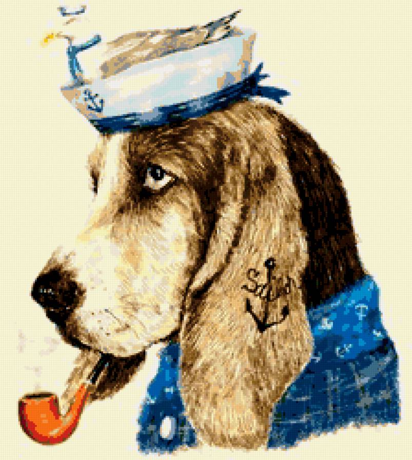 моряк - собака, пес, животные - предпросмотр