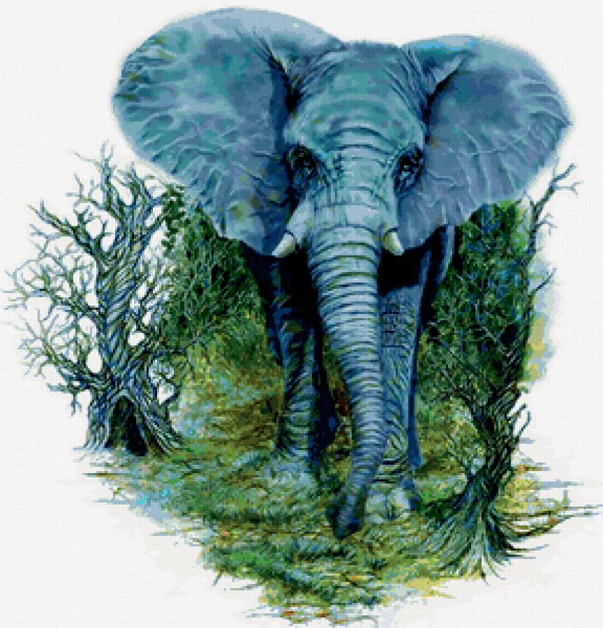 слон - африка, природа, дерево, животные - предпросмотр