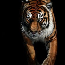 Схема вышивки «тигр»