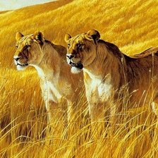 Схема вышивки «ливицы»