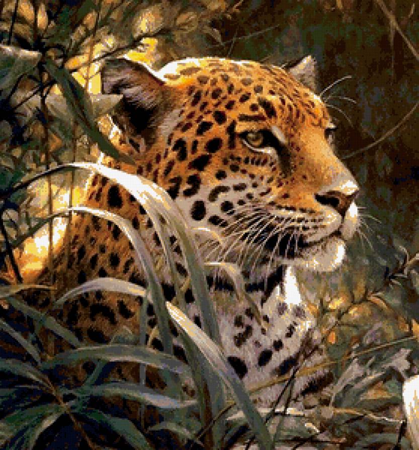 леопард - кошка, тигр, африка, животные - предпросмотр