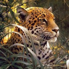 Схема вышивки «леопард»