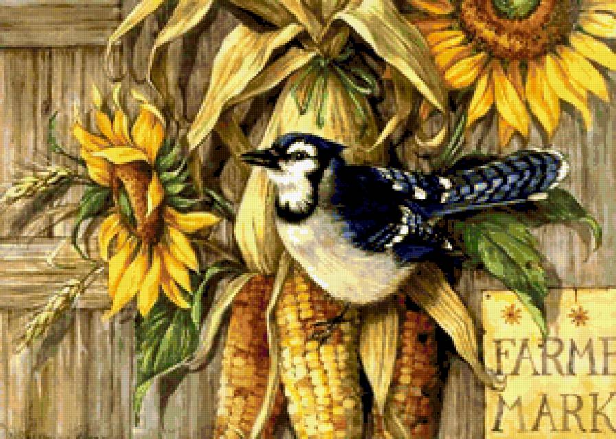 Осенний урожай - подсолнухи, кукуруза, птицы, урожай, птица, цветы, подсолнух - предпросмотр