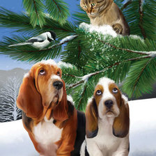 Схема вышивки «№318894»