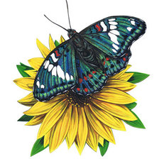 Схема вышивки «№319003»