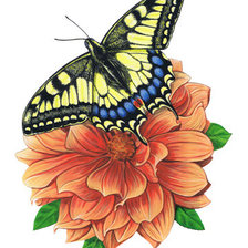 Схема вышивки «№319004»