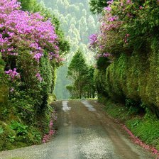 Схема вышивки «№319063»