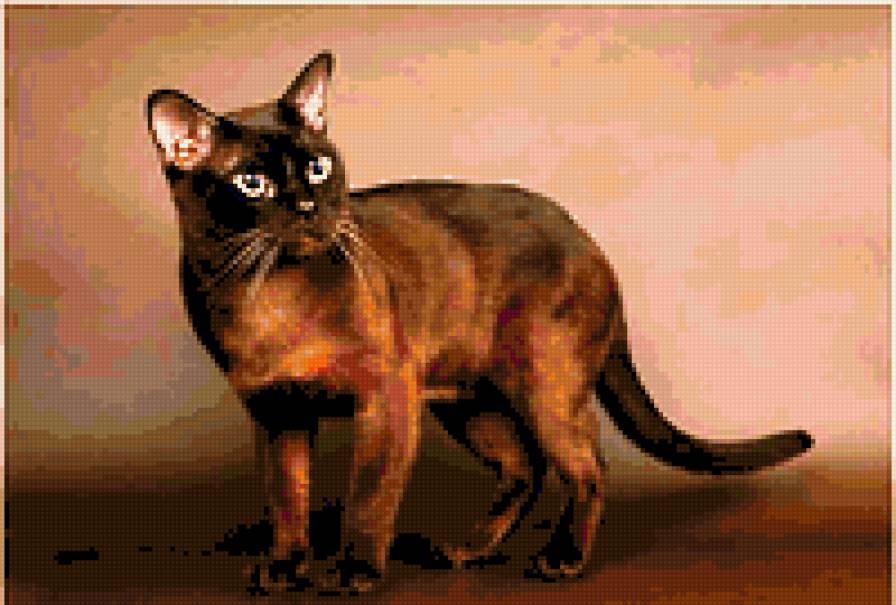 кот - предпросмотр