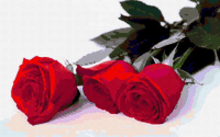 цветы - природа - предпросмотр