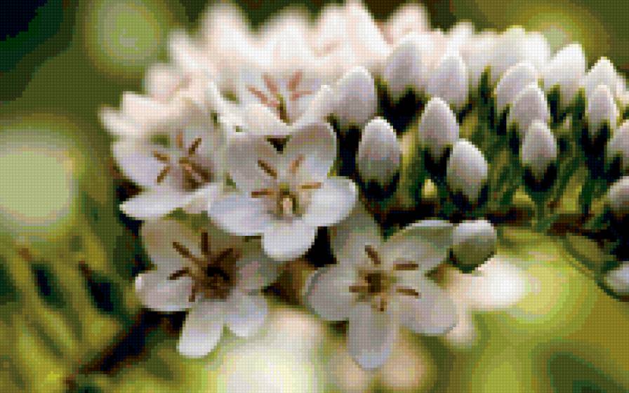 весна - весна, ветка, цветы - предпросмотр