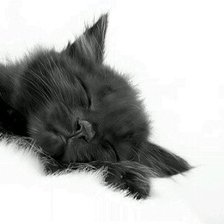 Схема вышивки «котенок»