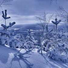 Схема вышивки «зима»