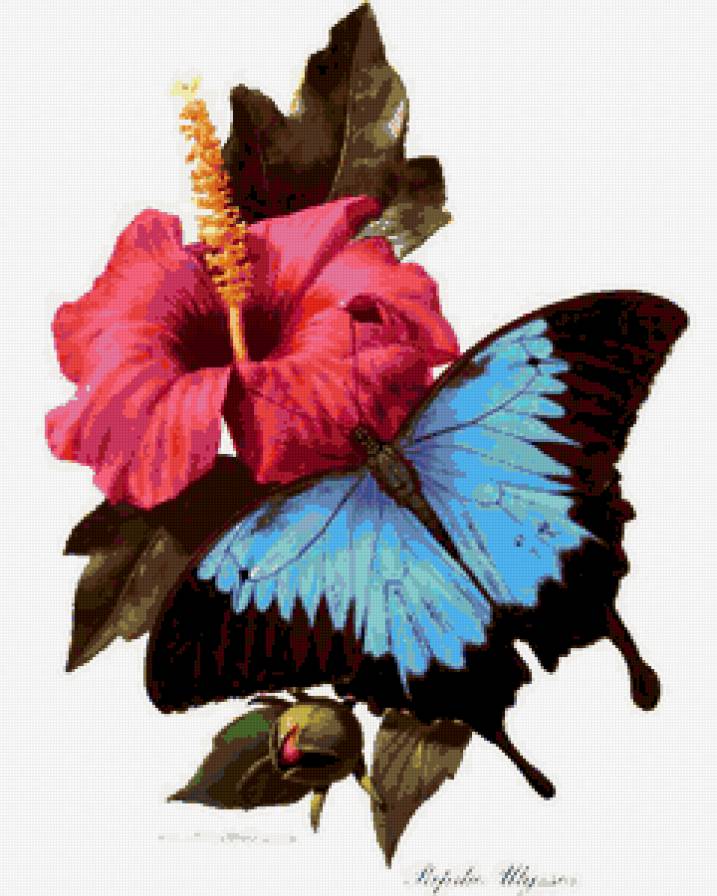 №319290 - бабочки, гибискус, роза, цветы - предпросмотр