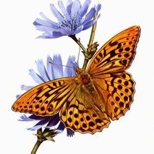 Схема вышивки «№319294»